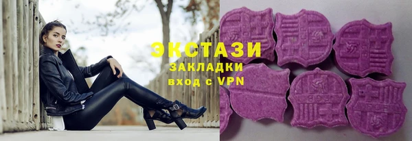 ECSTASY Алзамай