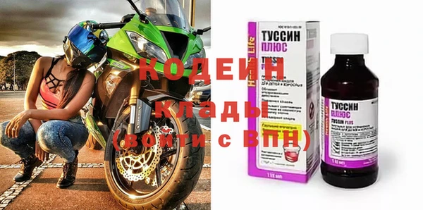 ECSTASY Алзамай