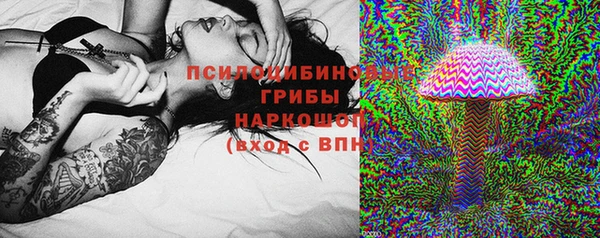 ECSTASY Алзамай